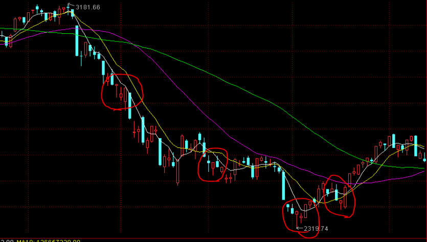 港北区举办中小学第二届科技节